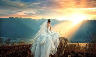 数码摄影服务小程序推荐 哪家更适合您的摄影业务？