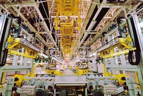 数码摄影服务新风向 地市市场迎来新机遇